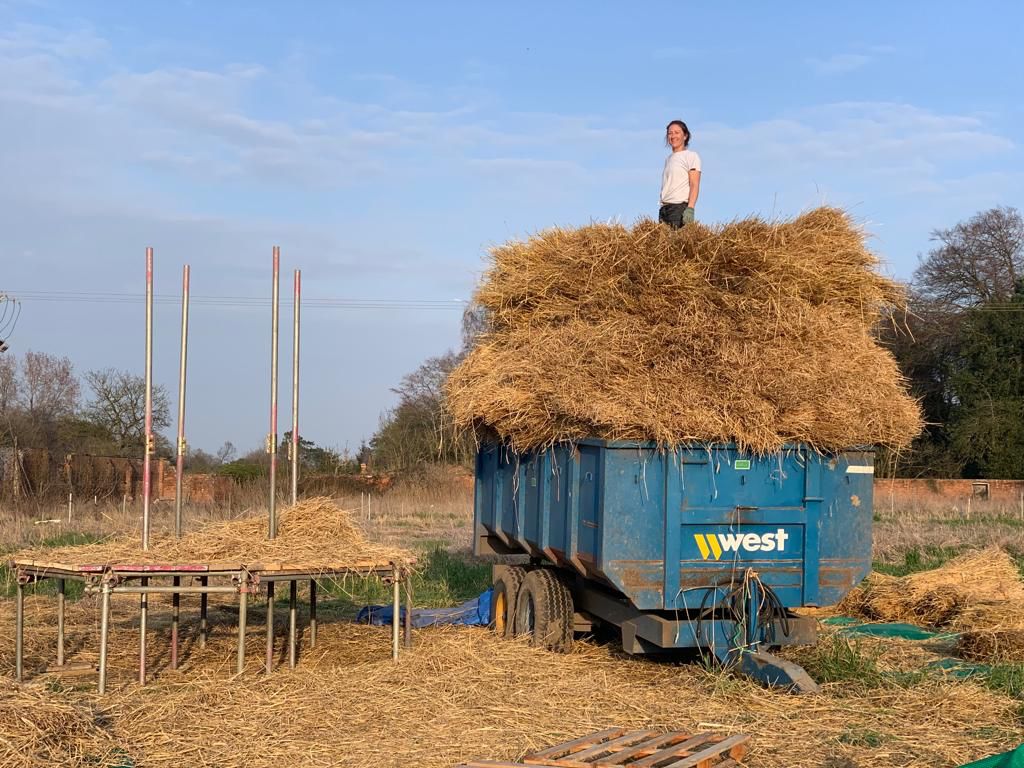 Lady standing on full load of harvested thatching straw.